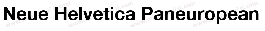 Neue Helvetica Paneuropean 75 Bold字体转换